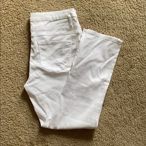 NOBO mid rise skinny pants